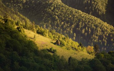 Un mini tur de țară – Vulcanii Noroioși, Valea Doftanei, Babele și Sfinxul, Sighișoara, Bucovina, Maramureș